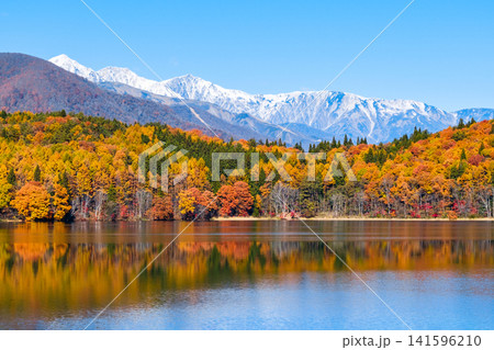 青木湖の紅葉と白馬の山並み 青木湖の紅葉と白馬の山並み 141596210