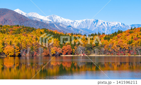 青木湖の紅葉と白馬の山並み 141596211