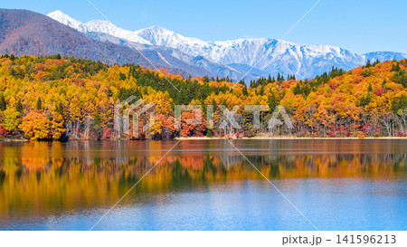 青木湖の紅葉と白馬の山並み 青木湖の紅葉と白馬の山並み 141596213