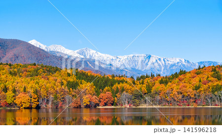 青木湖の紅葉と白馬の山並み 青木湖の紅葉と白馬の山並み 141596218
