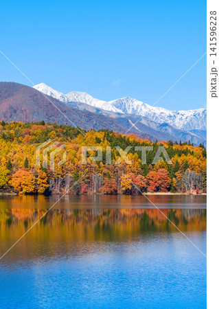 青木湖の紅葉と白馬の山並み 青木湖の紅葉と白馬の山並み 141596228