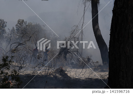 Firefighters Battling a Forest Wildfire Through Thick Smoke. Firefighters Battling a Forest Wildfire Through Thick Smoke. 141596716