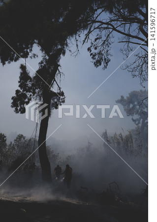 Firefighters Battling a Forest Wildfire Through Thick Smoke. Firefighters Battling a Forest Wildfire Through Thick Smoke. 141596717