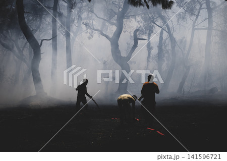 Firefighters Battling a Forest Wildfire Through Thick Smoke.  141596721