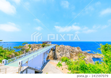 初夏の尖閣湾揚島遊園 佐渡島 新潟県佐渡市 初夏の尖閣湾揚島遊園 佐渡島 新潟県佐渡市 141597079