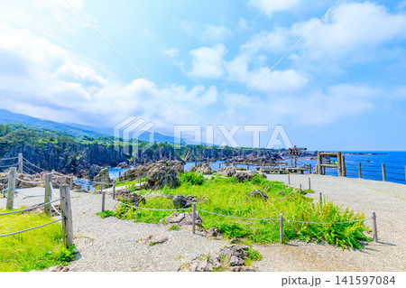 初夏の尖閣湾揚島遊園　佐渡島　新潟県佐渡市 141597084