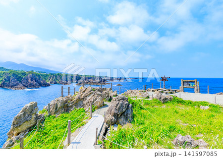 初夏の尖閣湾揚島遊園　佐渡島　新潟県佐渡市 141597085