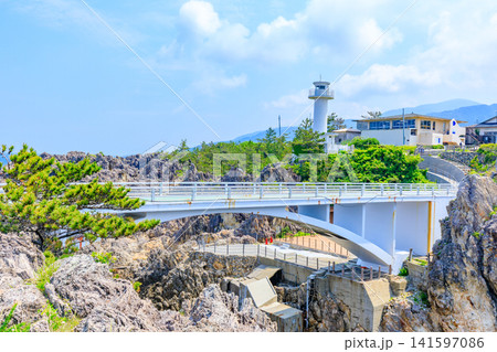 初夏の尖閣湾揚島遊園 佐渡島 新潟県佐渡市 初夏の尖閣湾揚島遊園 佐渡島 新潟県佐渡市 141597086