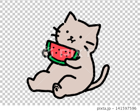 A cat munching on watermelon A cat munching on watermelon 141597596