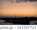 Sunset over harbour with bats flying in Labuan Bajo 141597723