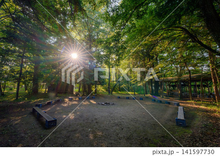 朝日が差し込むキャンプ場 朝日が差し込むキャンプ場 141597730