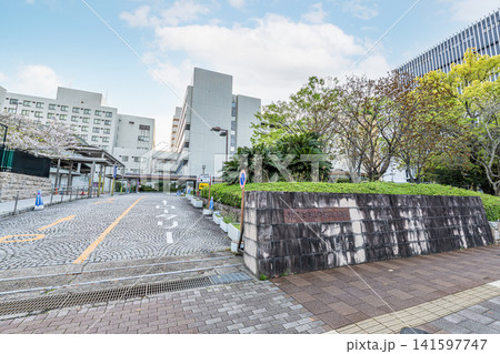兵庫県神戸市　神戸大学医学部附属病院 141597747