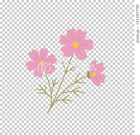 秋季花卉,花卉素材,波斯菊的簡單插圖 秋季花卉,花卉素材,波斯菊的簡單插圖 141597799