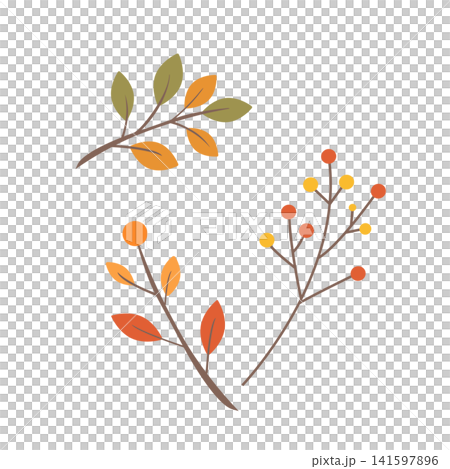 Autumn foliage: A simple illustration of leaves and berries. Autumn foliage: A simple illustration of leaves and berries. 141597896
