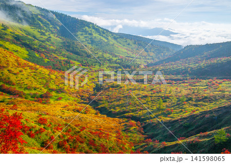 山田峠(群馬県)の紅葉の景色 141598065