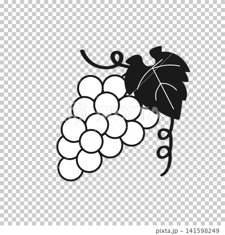 Autumn theme, fruit theme, autumn flavors: Simple monochrome illustration of grapes Autumn theme, fruit theme, autumn flavors: Simple monochrome illustration of grapes 141598249