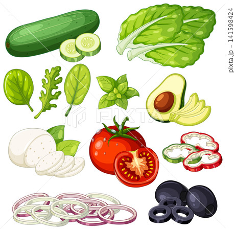Fresh Salad Ingredients Vector Set with Tomato Cucumber and Avocado Fresh Salad Ingredients Vector Set with Tomato Cucumber and Avocado 141598424