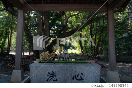 神社の風景 141598543