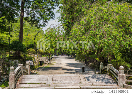 三井寺（長等山園城寺）境内風景　滋賀県大津市 141598901