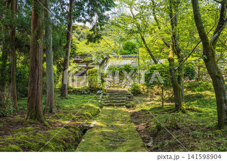 三井寺(長等山園城寺)境内風景 滋賀県大津市 三井寺(長等山園城寺)境内風景 滋賀県大津市 141598904