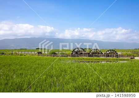 耳納連山を望む初夏の朝倉三連水車と田園風景 耳納連山を望む初夏の朝倉三連水車と田園風景 141598950