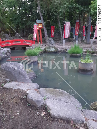 小さな池 神社の境内 小さな池 神社の境内 141599308