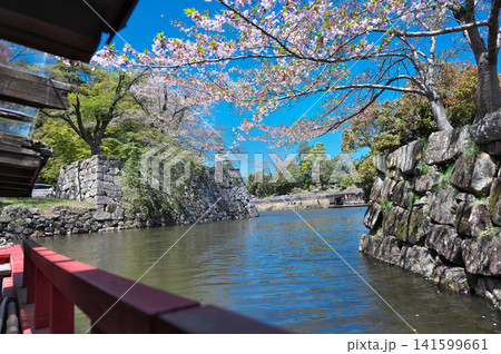 春の彦根城 屋形船 春の彦根城 屋形船 141599661