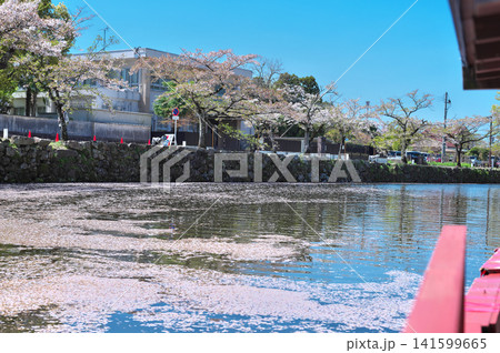 春の彦根城 屋形船 春の彦根城 屋形船 141599665