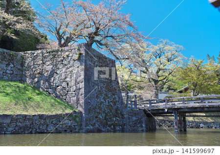 春の彦根城　屋形船 141599697