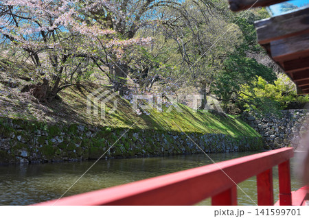 春の彦根城 屋形船 春の彦根城 屋形船 141599701