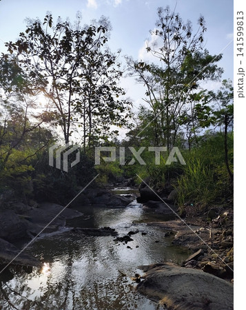 view of a rocky river beside rice fields in a village view of a rocky river beside rice fields in a village 141599813