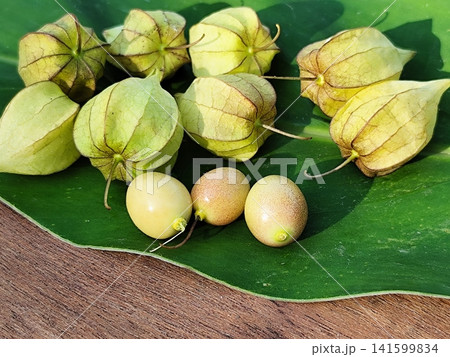 Morel fruit or Physalis peruviana in Latin, is also often called golden berry 141599834