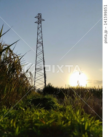 sunset on rice field and there is towering electricity sunset on rice field and there is towering electricity 141599851