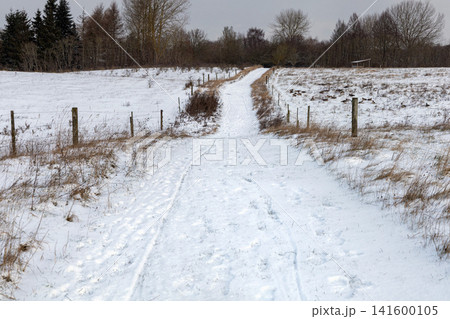 Winter countryside path with human footprints and sunlight. 141600105