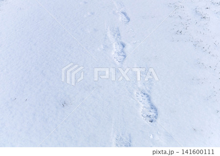 Winter park trail showing one person footsteps. 141600111