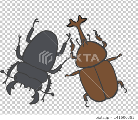 Simple illustrations of rhinoceros beetles and stag beetles Simple illustrations of rhinoceros beetles and stag beetles 141600383