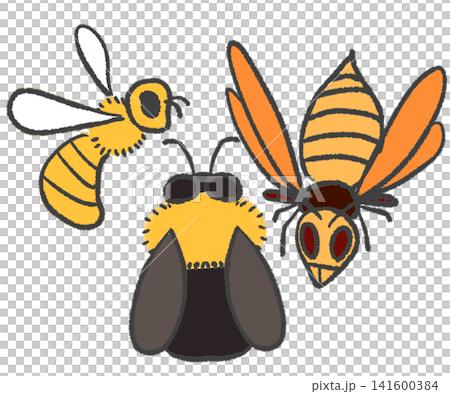 Simple illustrations of honeybees, bumblebees, and hornets. Simple illustrations of honeybees, bumblebees, and hornets. 141600384
