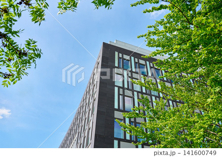 Modern building exterior framed by green trees against blue sky Modern building exterior framed by green trees against blue sky 141600749