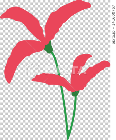 Red pink lily flower with green stem, delicate bloom beauty floral for spring theme element decoration Red pink lily flower with green stem, delicate bloom beauty floral for spring theme element decoration 141600767