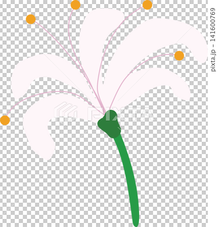 Pink lily flower with green stem, delicate bloom beauty floral for spring theme element decoration Pink lily flower with green stem, delicate bloom beauty floral for spring theme element decoration 141600769