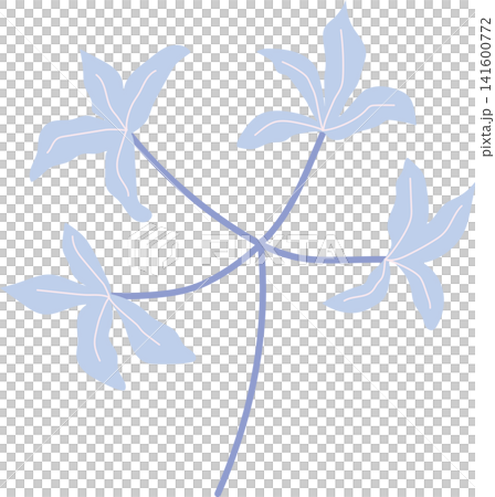 Blue lily flower with blue stem, delicate bloom beauty floral for spring theme element decoration Blue lily flower with blue stem, delicate bloom beauty floral for spring theme element decoration 141600772