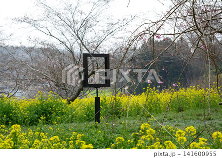 小宅(おやけ)古墳群「菜の花・桜まつり」#69 小宅(おやけ)古墳群「菜の花・桜まつり」#69 141600955