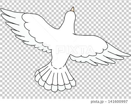 Hand-drawn animal illustration ☆ White dove Hand-drawn animal illustration ☆ White dove 141600997
