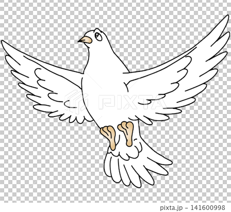 Hand-drawn animal illustration ☆ White dove Hand-drawn animal illustration ☆ White dove 141600998