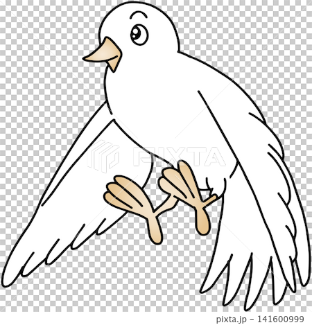 手書き動物イラスト☆白い鳩 141600999