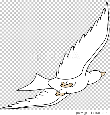手書き動物イラスト☆白い鳩 手書き動物イラスト☆白い鳩 141601007