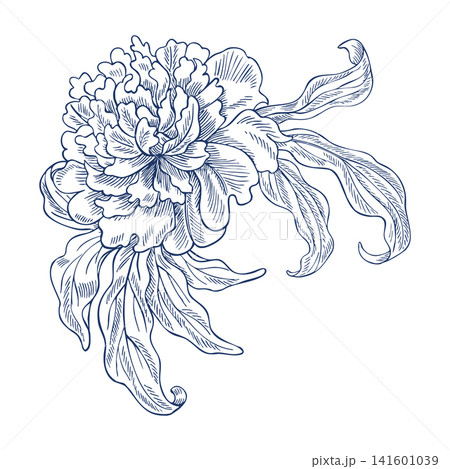 Peony flower with leaves. Vector, graphic illustration in blue. Hand-drawn. Highlighted on a white background. For postcards, invitations, and greetings. For textiles, labels, packaging, and more. Peony flower with leaves. Vector, graphic illustration in blue. Hand-drawn. Highlighted on a white background. For postcards, invitations, and greetings. For textiles, labels, packaging, and more. 141601039