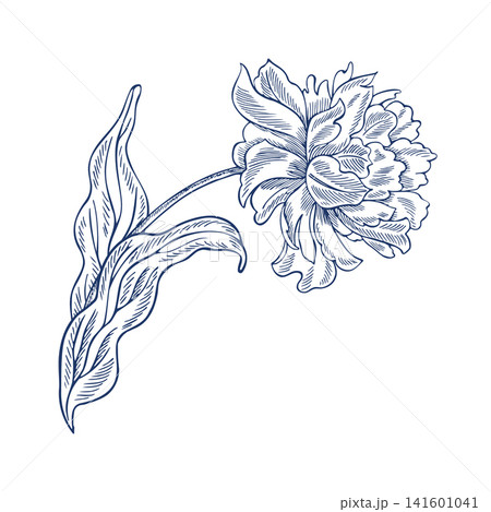 Peony flower with stem and leaves. Vector, graphic illustration in blue color. Hand-drawn. On a white background. For postcards, invitations, and greetings. For textiles, labels, packaging, and more. Peony flower with stem and leaves. Vector, graphic illustration in blue color. Hand-drawn. On a white background. For postcards, invitations, and greetings. For textiles, labels, packaging, and more. 141601041