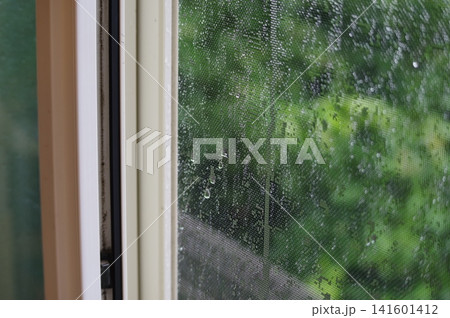 豪雨で濡れた網戸 141601412