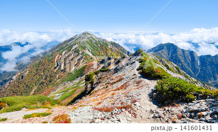 秋の針ノ木岳・蓮華岳登山(針ノ木岳~蓮華岳) 秋の針ノ木岳・蓮華岳登山(針ノ木岳~蓮華岳) 141601431